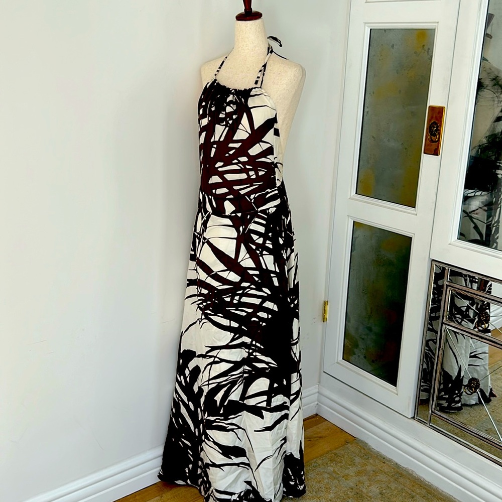 Beautiful Hugo Boas Dress